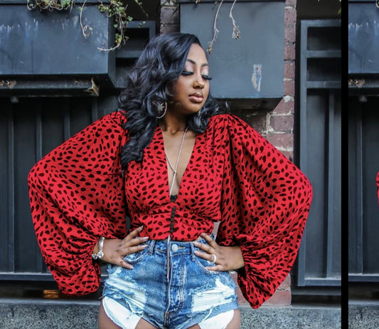 Butterfly Balloon Sleeves Top